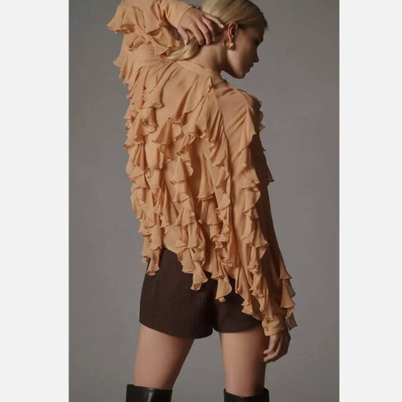 Brand New by Anthropologie Sheer Ruffle Buttondown Blouse - Picture 2 of 13